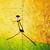 Tim Giugni's profile image