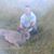 Jake Bowren's profile image