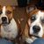 Donna Jackson's profile image