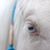 Karen Georgal's profile image