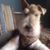 David C. Tidd's profile image