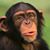 Mark Longmire's profile image