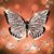 Linda Andrews's profile image