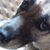Suzanne Riffon Kenney's profile image
