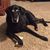 Lori Koch's profile image
