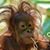 Rodney Gwynn's profile image