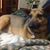 Teri Pizzuto Buchanan's profile image