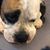 Jimmy Seery's profile image