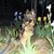 Vicky Southwick's profile image