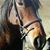 Jacqueline Redmond's profile image
