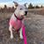 Denise Diel Reynolds's profile image