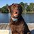 Mary Cannon's profile image