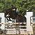 Sarah Evelyn Murawski's profile image