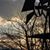 Deborah R. Kokinda's profile image