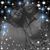 Beth Zipperer's profile image