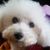 Carol Wilkins's profile image