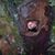 Deborah Jellison's profile image