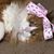 Robyn Follin's profile image