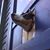 Addison Raap's profile image