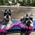 Carol Maddox's profile image