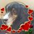 Jody De Jan's profile image