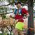David Ely's profile image