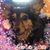 Jill Brokaw Young's profile image