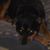 George Velez's profile image