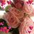 Bethchak Ong's profile image