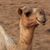 Emmyht Blackburn's profile image