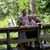 Christopher J Crandall's profile image