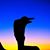 Bob Woods's profile image