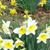 Shirley Trimmer Gregory's profile image