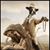 Angela Osburn Bliss's profile image