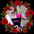 Macey Sonju's profile image