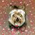 Jo Miller's profile image