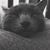 Christine Marie Earl's profile image