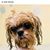 Mary Kesecker Runkles's profile image