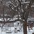 Nedra Weddle's profile image