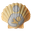 Shield Shell, LLC's profile image