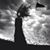 Shawntae Merry's profile image