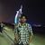 Syed Kashif's profile image