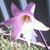 Joanne O'Shea's profile image