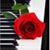 Karla Smoot's profile image