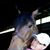 Suzanne Hanlon's profile image