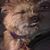 Janet Galileo LeBlanc's profile image