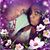 Kim Berg's profile image