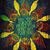Barbara R. Blake's profile image