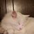 Linda Pittman's profile image