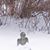 Alice Mischke's profile image